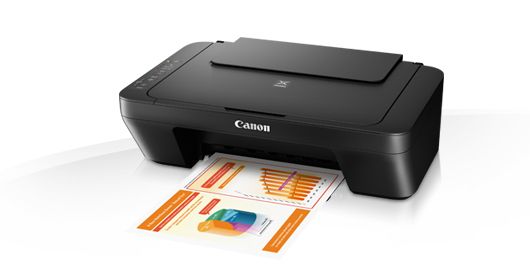 CANON Pixma MG2550S