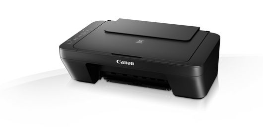 CANON Pixma MG2550S