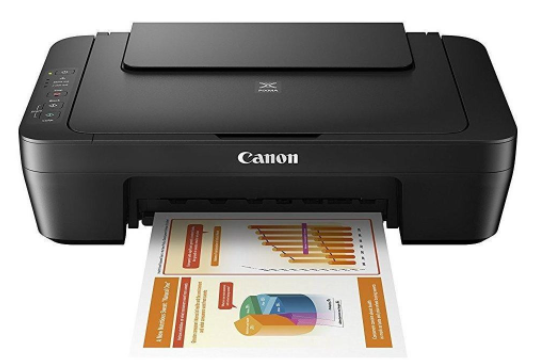 CANON Pixma MG2550S